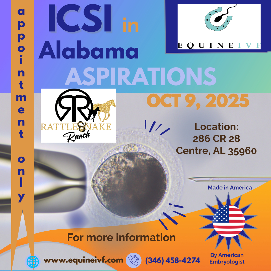 Alabama Aspiration 2 Alabama Aspiration 2