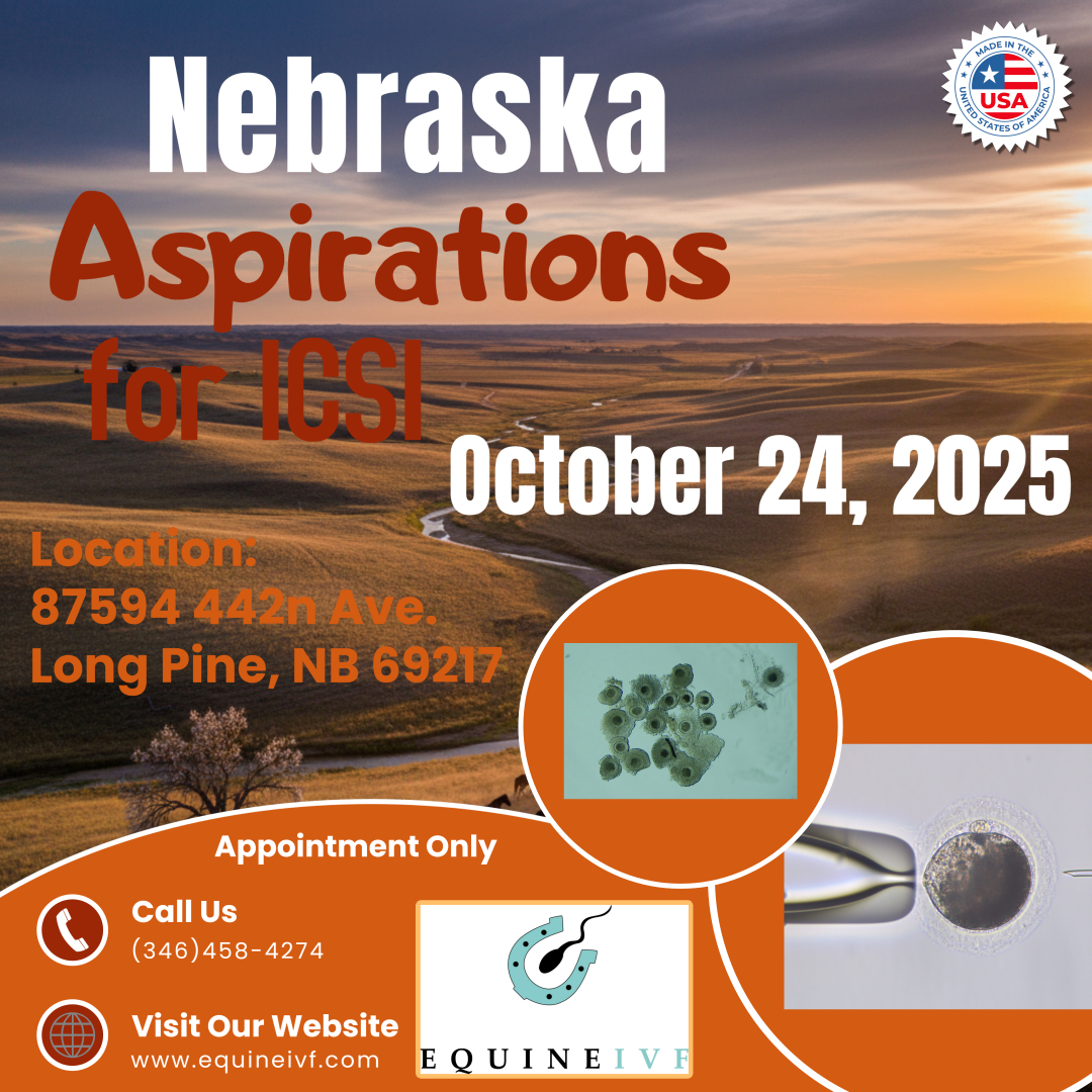 Equine IVF Flyer- Nebraska Equine IVF Flyer- Nebraska