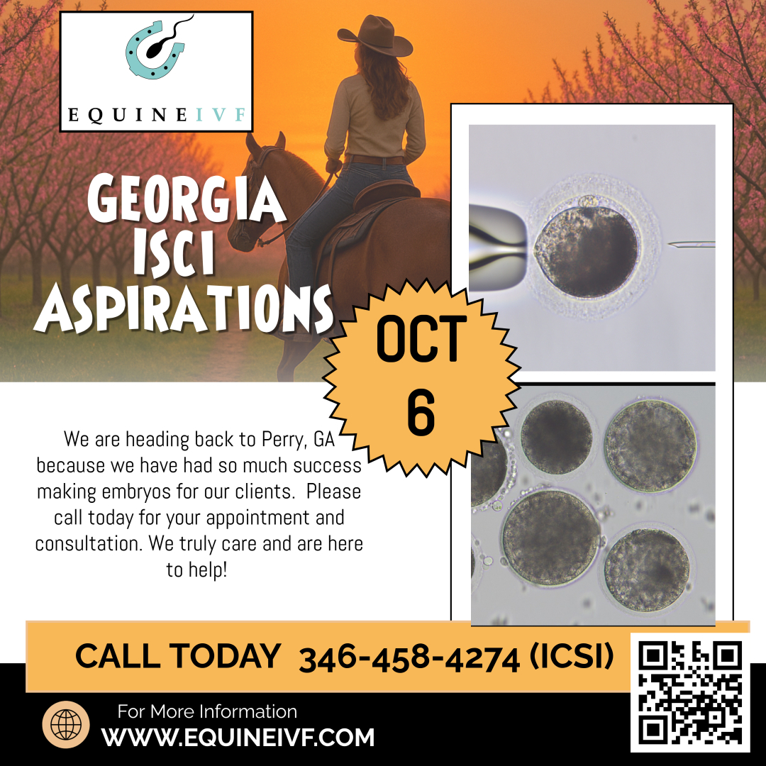 GEORGIA ASPIRATIONS Oct 6 2025 GEORGIA ASPIRATIONS Oct 6 2025
