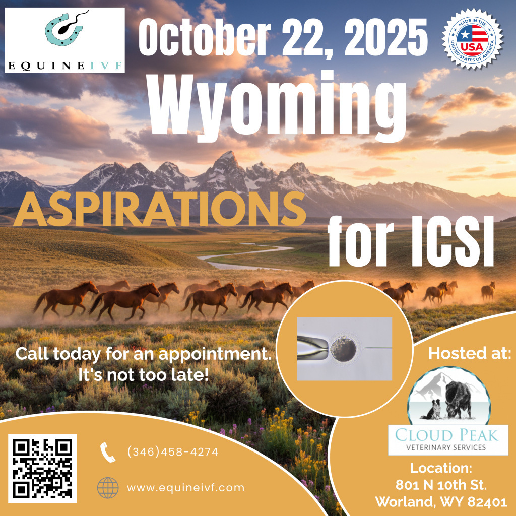 Equine IVF Flyer- Wyoming 102225