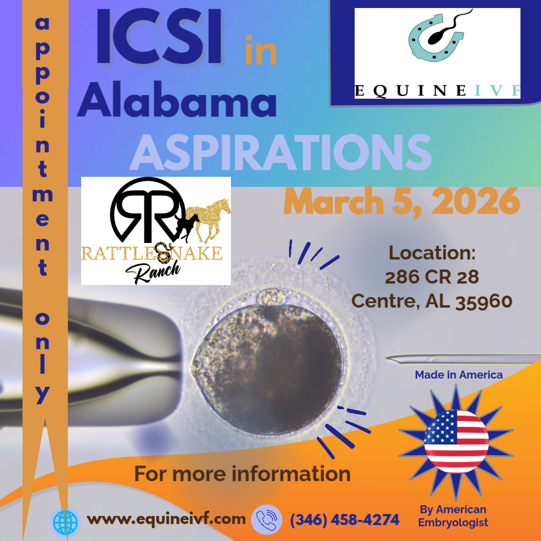 3.5.26 Alabama Aspiration