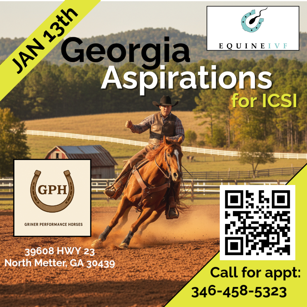 Griner Jan 13 georgia (1)