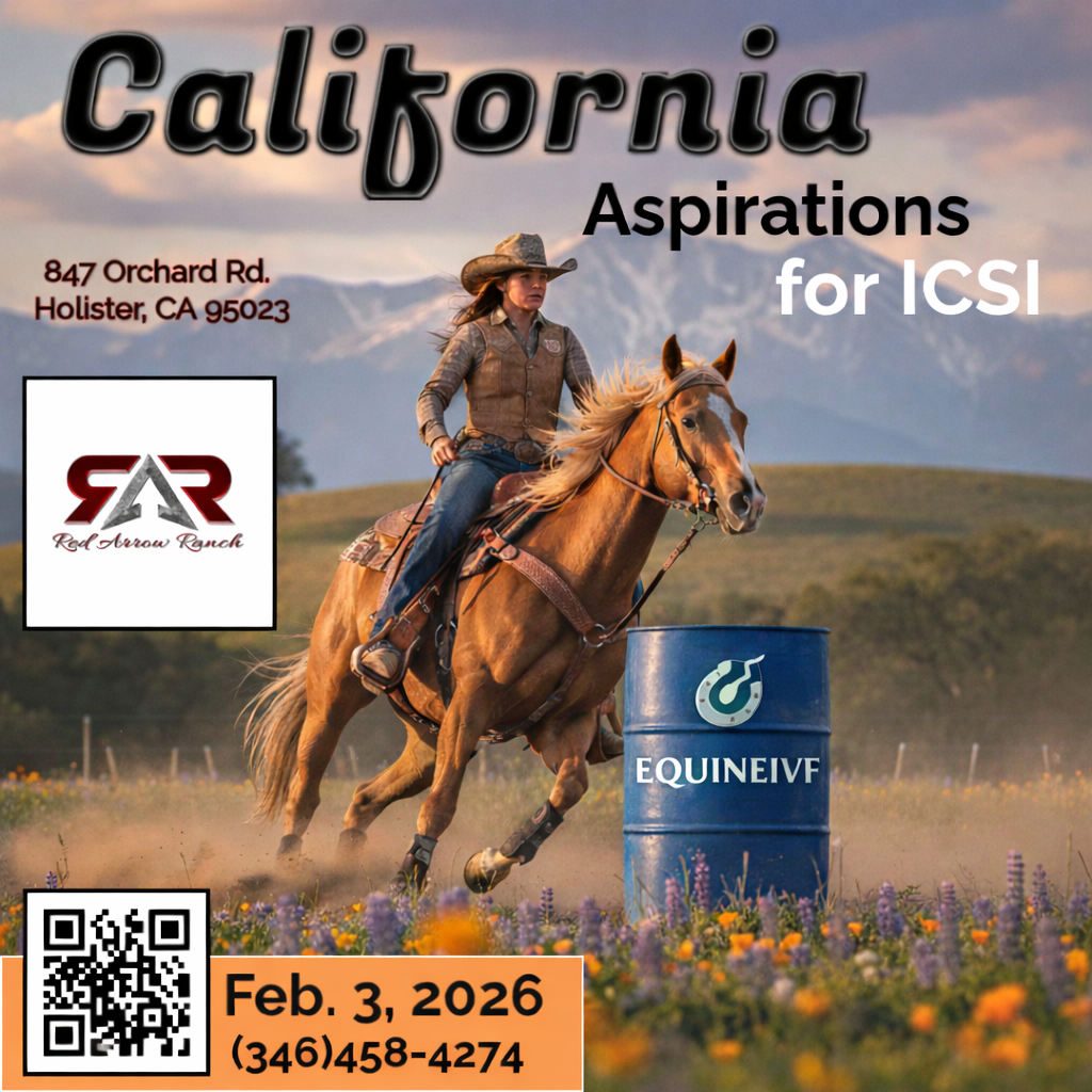 Red arrow ranch final