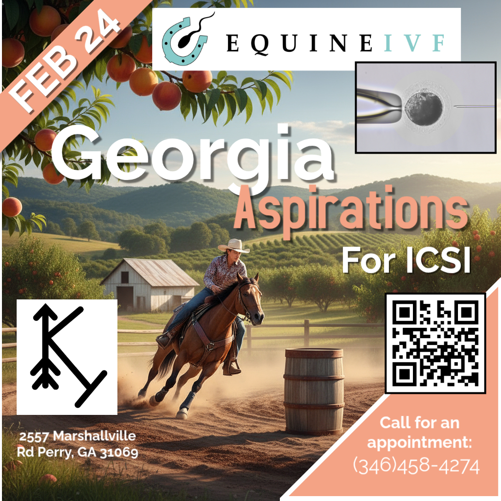 perry GA noon Feb 24