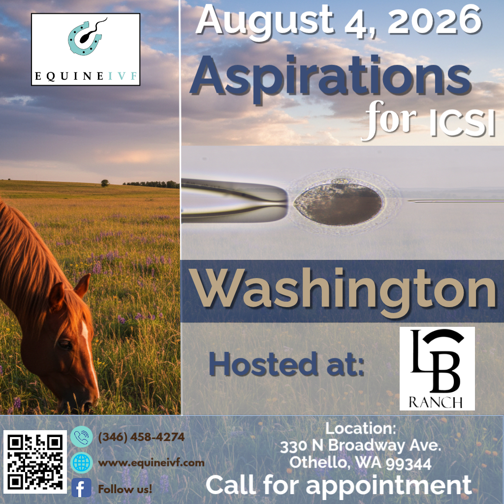 8.4.26 Washington (1)