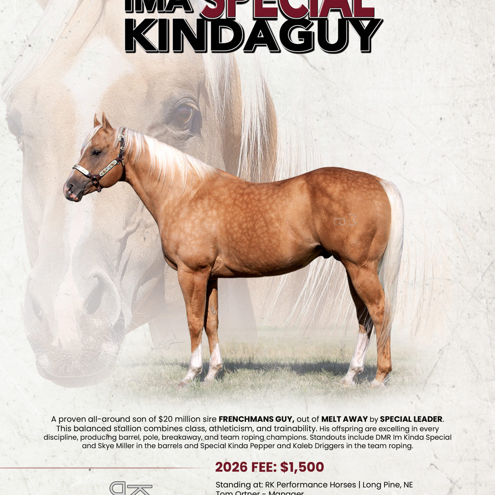 26_RK_Ima-Special-Kindaguy