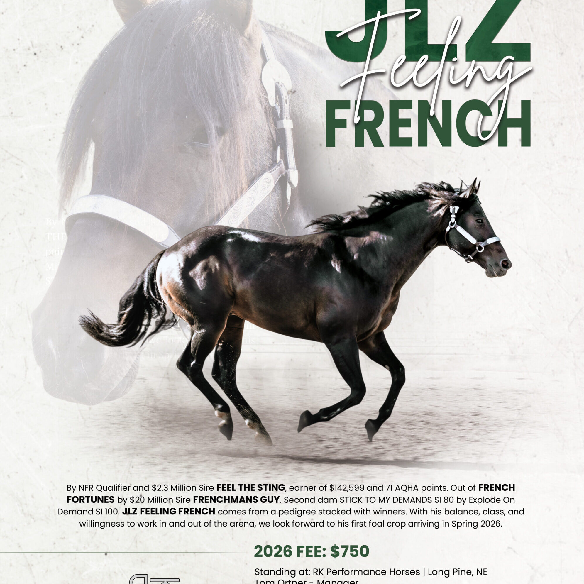 26_RK_JLZ-Feeling-French