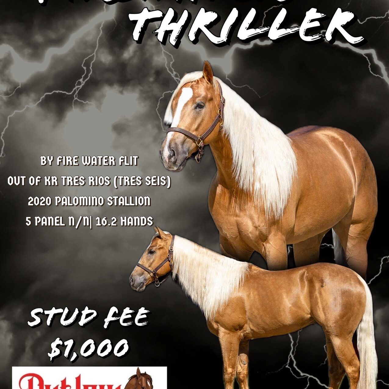 4E0EF0E2-DF7F-4C8C-A3E0-B2D20C293324