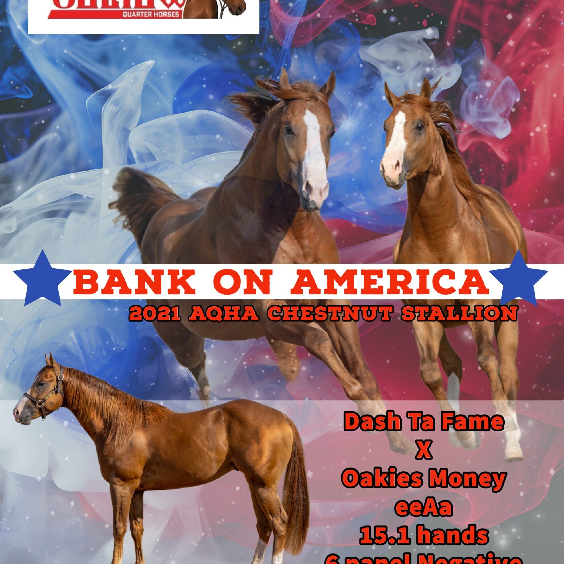 4F149E74-CE9F-43F0-9389-224E548520BE