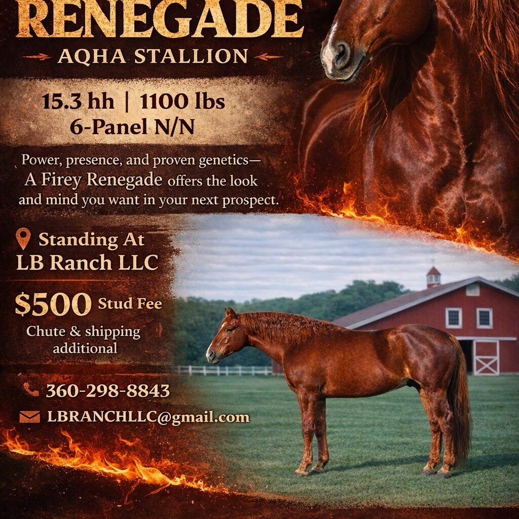 508F1AC9-4FB0-43C8-82FA-FE56BCD31C0A