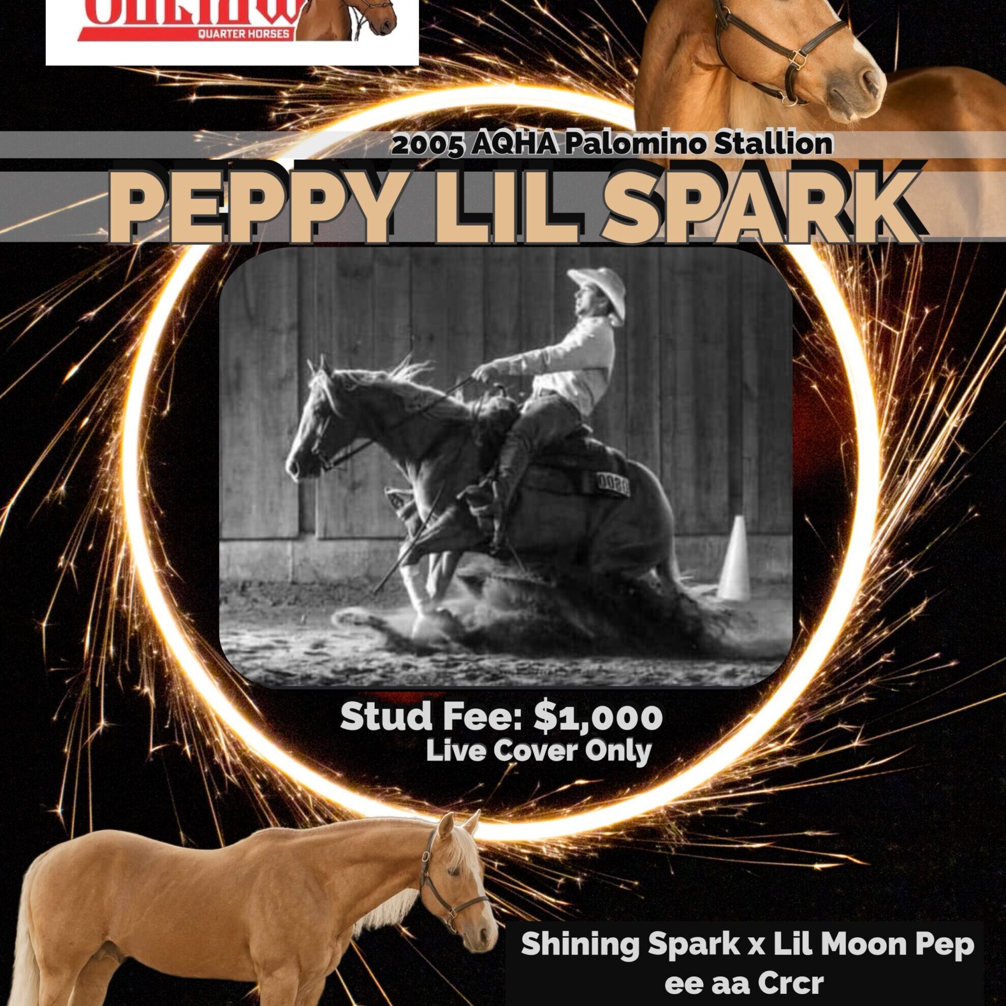 AD9AD416-C8A1-4FAC-8D4E-AE23540EF2E2