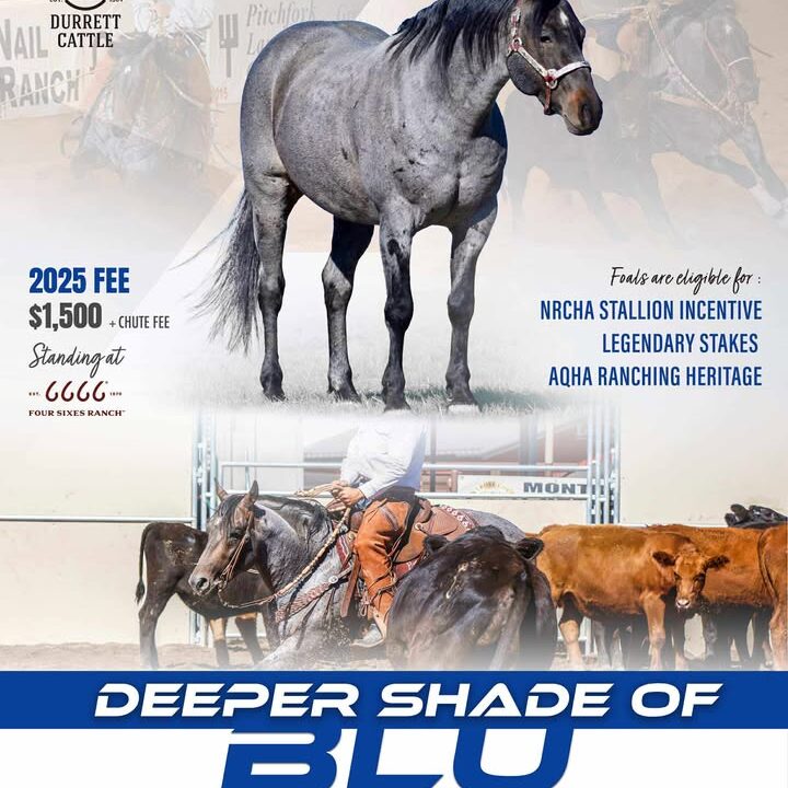 Deeper Shade of Blue