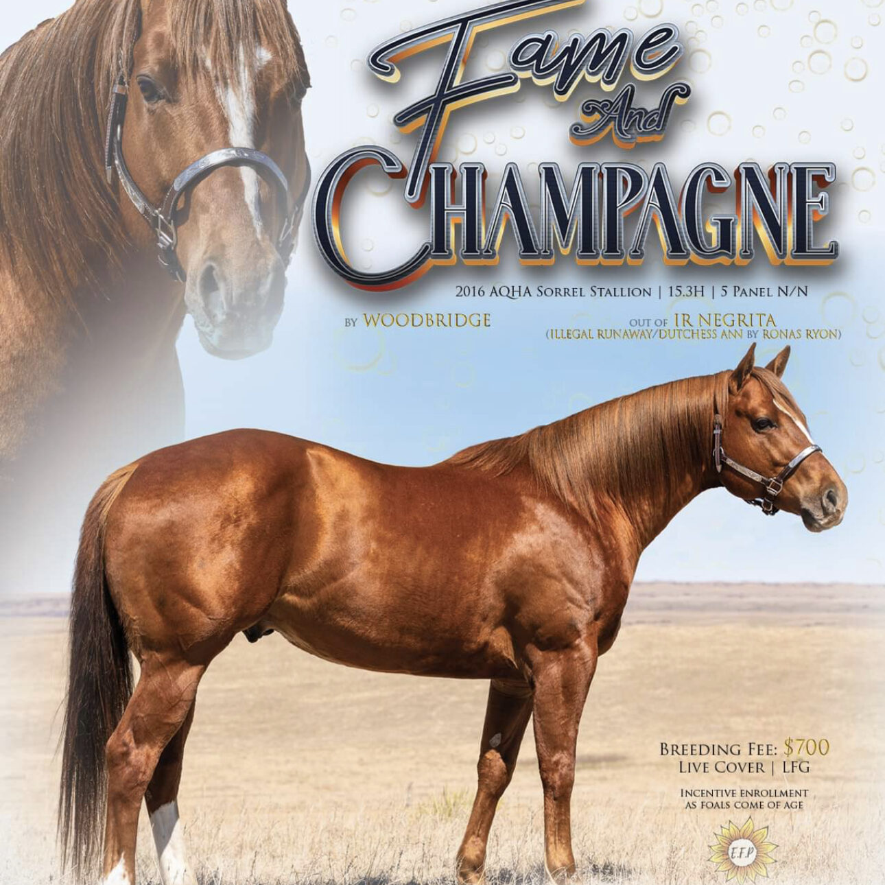 Fame and Champagne