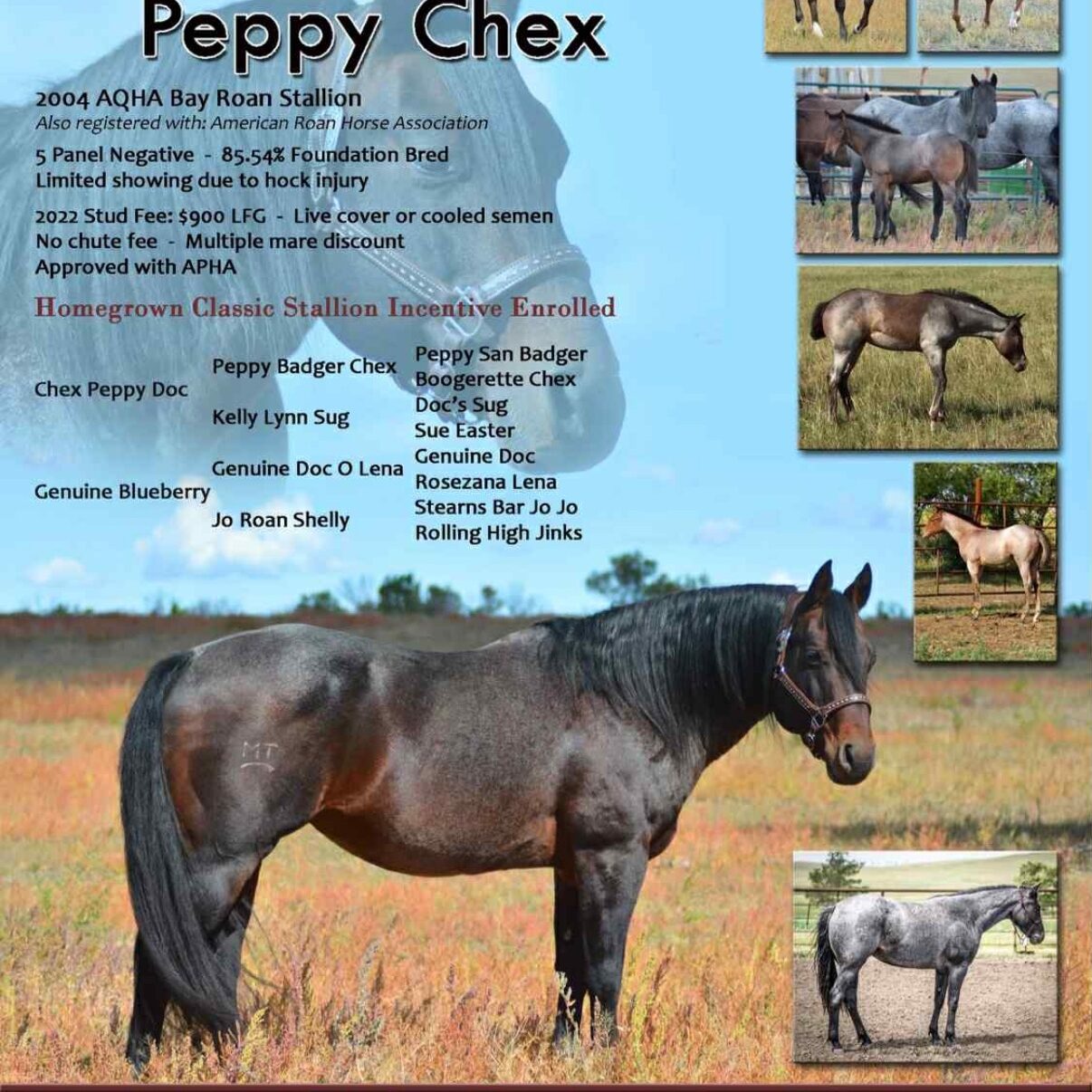 Genuine Peppy Chex