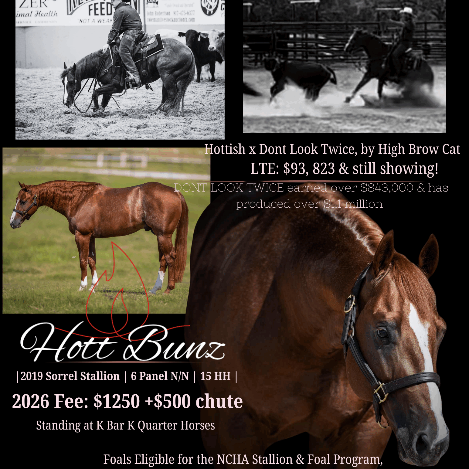 Hottish x Dont Look Twice, by High Brow Cat.png