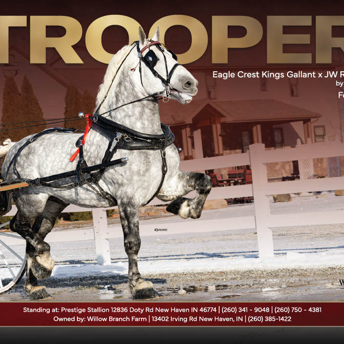 JW Trooper1