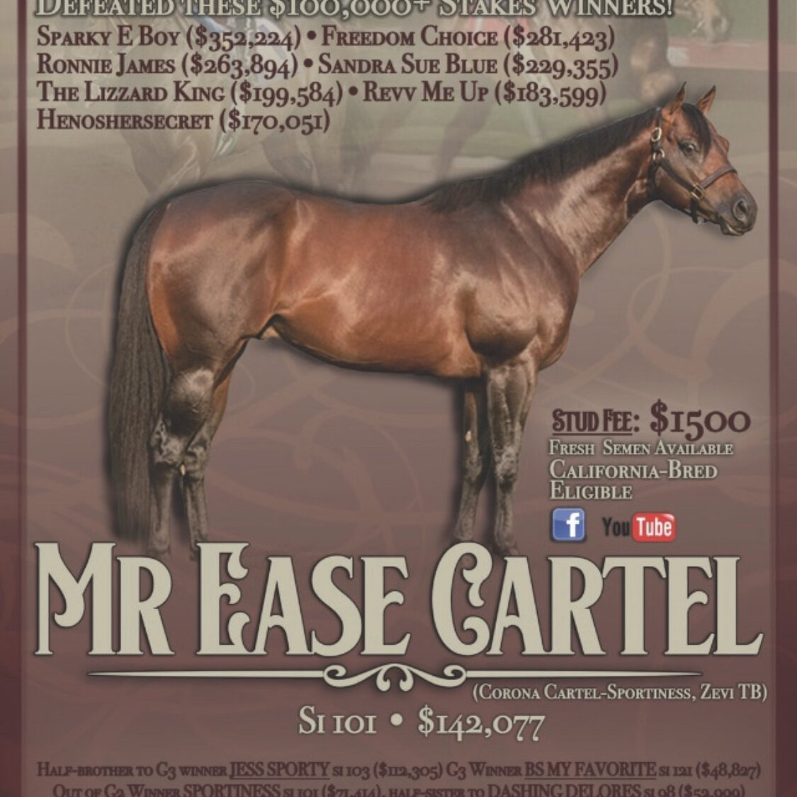 Mr Ease Cartel