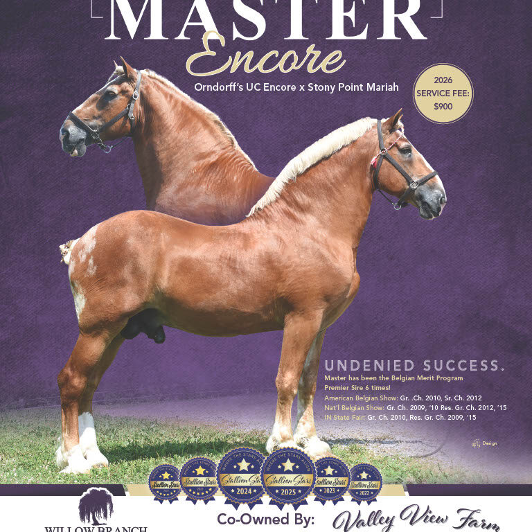 Orndorffs Master Encore