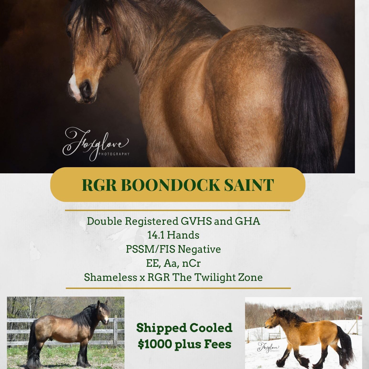 RGR Boondock Saint