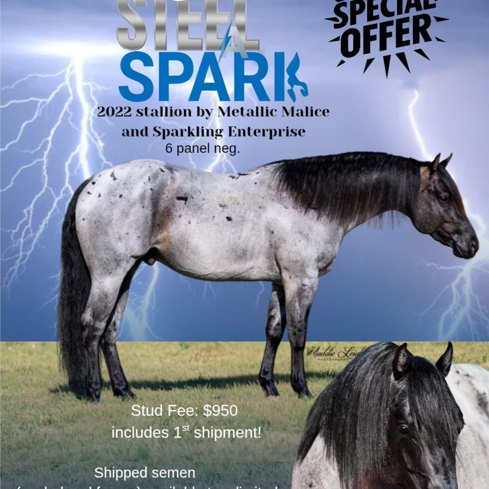 Steel Spark