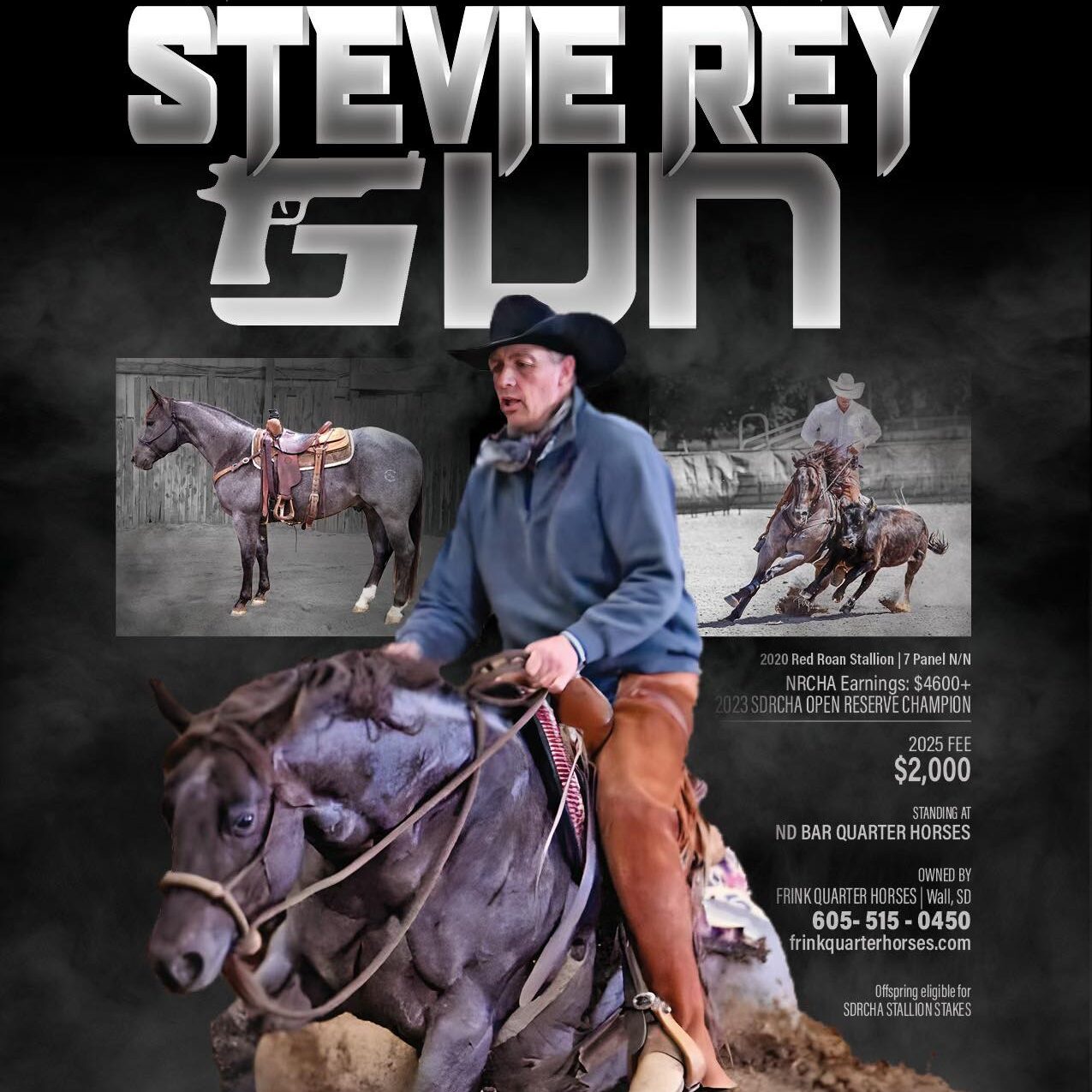Stevie Rey Gun