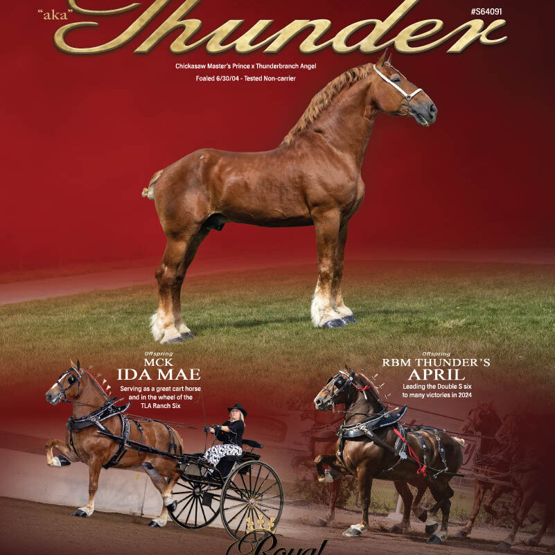 Thunderbranch Prince1