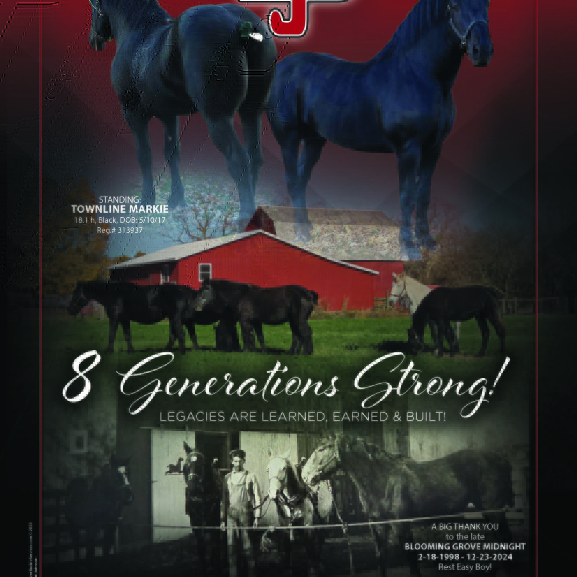 Townline Markie 2026 (1)