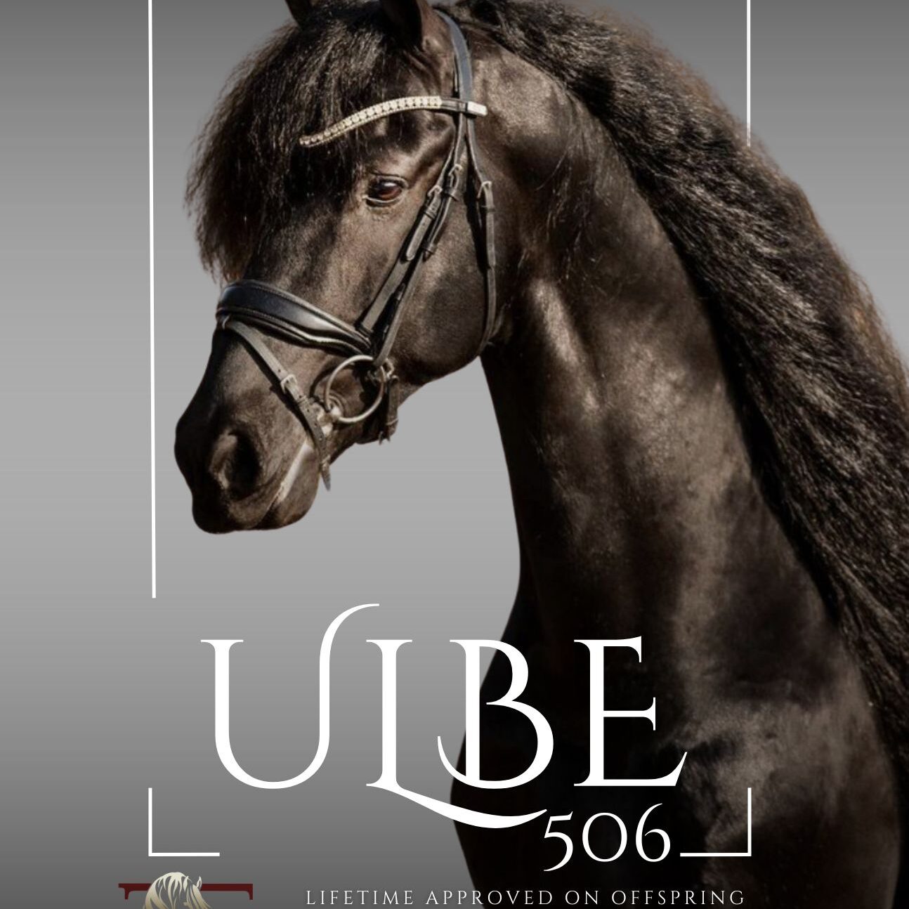 ULBE-506-Banner-2026