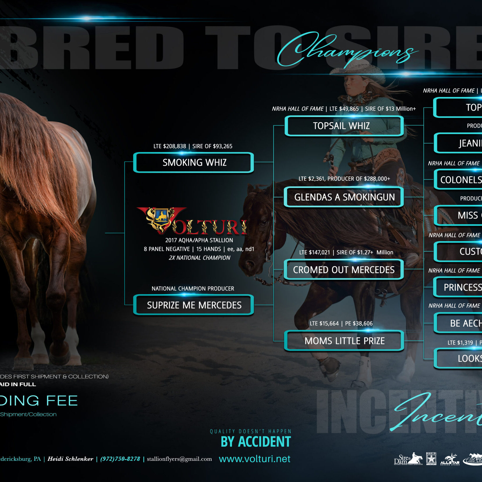 Volturi Pedigree Ad 2026 RGB